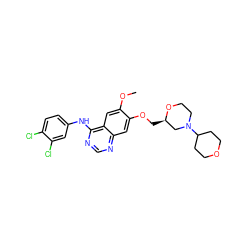 COc1cc2c(Nc3ccc(Cl)c(Cl)c3)ncnc2cc1OC[C@@H]1CN(C2CCOCC2)CCO1 ZINC000114821069