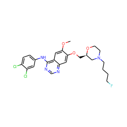 COc1cc2c(Nc3ccc(Cl)c(Cl)c3)ncnc2cc1OC[C@@H]1CN(CCCCF)CCO1 ZINC000114821952