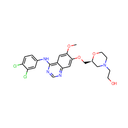 COc1cc2c(Nc3ccc(Cl)c(Cl)c3)ncnc2cc1OC[C@@H]1CN(CCO)CCO1 ZINC000114821606