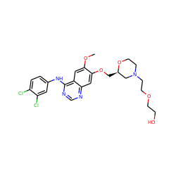 COc1cc2c(Nc3ccc(Cl)c(Cl)c3)ncnc2cc1OC[C@@H]1CN(CCOCCO)CCO1 ZINC000114822005