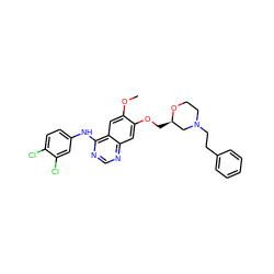 COc1cc2c(Nc3ccc(Cl)c(Cl)c3)ncnc2cc1OC[C@@H]1CN(CCc2ccccc2)CCO1 ZINC000114821532