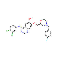 COc1cc2c(Nc3ccc(Cl)c(Cl)c3)ncnc2cc1OC[C@@H]1CN(Cc2ccc(F)cc2)CCO1 ZINC000114821778