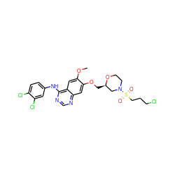 COc1cc2c(Nc3ccc(Cl)c(Cl)c3)ncnc2cc1OC[C@@H]1CN(S(=O)(=O)CCCCl)CCO1 ZINC000115597853