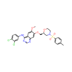 COc1cc2c(Nc3ccc(Cl)c(Cl)c3)ncnc2cc1OC[C@@H]1CN(S(=O)(=O)c2ccc(C)cc2)CCO1 ZINC000114821073