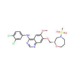 COc1cc2c(Nc3ccc(Cl)c(Cl)c3)ncnc2cc1OC[C@@H]1CN(S(C)(=O)=O)CCCO1 ZINC000114821511