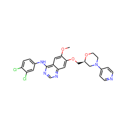 COc1cc2c(Nc3ccc(Cl)c(Cl)c3)ncnc2cc1OC[C@@H]1CN(c2ccncc2)CCO1 ZINC000114822969