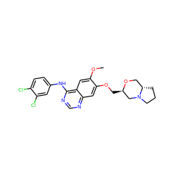 COc1cc2c(Nc3ccc(Cl)c(Cl)c3)ncnc2cc1OC[C@@H]1CN2CCC[C@H]2CO1 ZINC000114820621