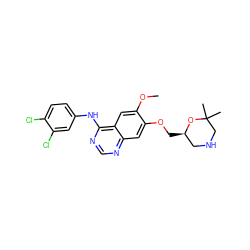 COc1cc2c(Nc3ccc(Cl)c(Cl)c3)ncnc2cc1OC[C@@H]1CNCC(C)(C)O1 ZINC000114821414