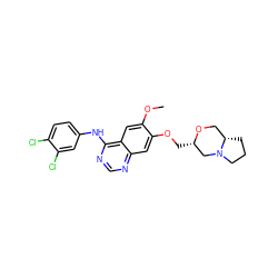 COc1cc2c(Nc3ccc(Cl)c(Cl)c3)ncnc2cc1OC[C@H]1CN2CCC[C@H]2CO1 ZINC000114821325