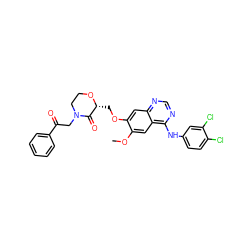 COc1cc2c(Nc3ccc(Cl)c(Cl)c3)ncnc2cc1OC[C@H]1OCCN(CC(=O)c2ccccc2)C1=O ZINC001772587508