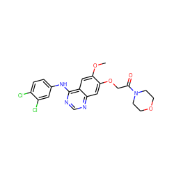 COc1cc2c(Nc3ccc(Cl)c(Cl)c3)ncnc2cc1OCC(=O)N1CCOCC1 ZINC000114822485