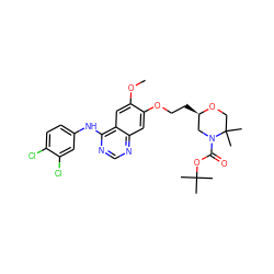 COc1cc2c(Nc3ccc(Cl)c(Cl)c3)ncnc2cc1OCC[C@@H]1CN(C(=O)OC(C)(C)C)C(C)(C)CO1 ZINC000115598781