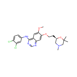 COc1cc2c(Nc3ccc(Cl)c(Cl)c3)ncnc2cc1OCC[C@@H]1CN(C)CC(C)(C)O1 ZINC000114821566