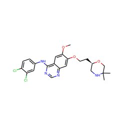 COc1cc2c(Nc3ccc(Cl)c(Cl)c3)ncnc2cc1OCC[C@@H]1CNC(C)(C)CO1 ZINC000114821192