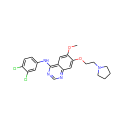 COc1cc2c(Nc3ccc(Cl)c(Cl)c3)ncnc2cc1OCCN1CCCC1 ZINC000114822965