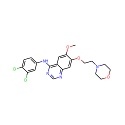 COc1cc2c(Nc3ccc(Cl)c(Cl)c3)ncnc2cc1OCCN1CCOCC1 ZINC000114821323