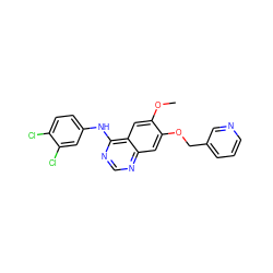 COc1cc2c(Nc3ccc(Cl)c(Cl)c3)ncnc2cc1OCc1cccnc1 ZINC000034207128