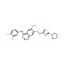 COc1cc2c(Nc3ccc(Cl)c(Cl)c3)ncnc2cc1OCc1csc([C@@H]2CCCN2)n1 ZINC000114821032