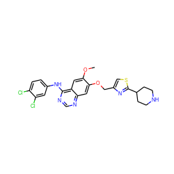 COc1cc2c(Nc3ccc(Cl)c(Cl)c3)ncnc2cc1OCc1csc(C2CCNCC2)n1 ZINC000114821800