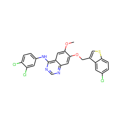 COc1cc2c(Nc3ccc(Cl)c(Cl)c3)ncnc2cc1OCc1csc2ccc(Cl)cc12 ZINC000115599253