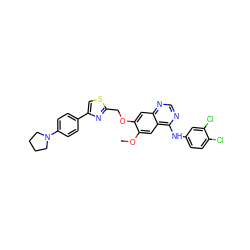 COc1cc2c(Nc3ccc(Cl)c(Cl)c3)ncnc2cc1OCc1nc(-c2ccc(N3CCCC3)cc2)cs1 ZINC000114820780