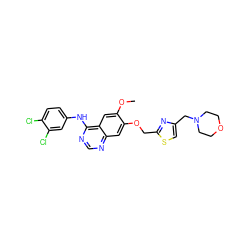 COc1cc2c(Nc3ccc(Cl)c(Cl)c3)ncnc2cc1OCc1nc(CN2CCOCC2)cs1 ZINC000114825628