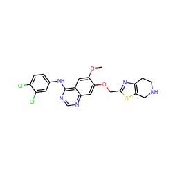 COc1cc2c(Nc3ccc(Cl)c(Cl)c3)ncnc2cc1OCc1nc2c(s1)CNCC2 ZINC000114821356