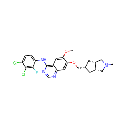 COc1cc2c(Nc3ccc(Cl)c(Cl)c3F)ncnc2cc1OC[C@@H]1C[C@@H]2CN(C)C[C@@H]2C1 ZINC000114456300