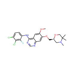 COc1cc2c(Nc3ccc(Cl)c(Cl)c3F)ncnc2cc1OC[C@@H]1CN(C)C(C)(C)CO1 ZINC000114821642