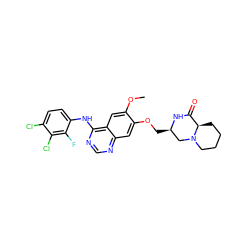 COc1cc2c(Nc3ccc(Cl)c(Cl)c3F)ncnc2cc1OC[C@@H]1CN2CCCC[C@@H]2C(=O)N1 ZINC000114820640