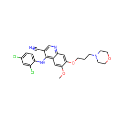 COc1cc2c(Nc3ccc(Cl)cc3Cl)c(C#N)cnc2cc1OCCCN1CCOCC1 ZINC000027313921