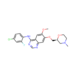 COc1cc2c(Nc3ccc(Cl)cc3F)ncnc2cc1OC[C@@H]1CN(C)CCO1 ZINC000008662773