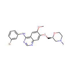 COc1cc2c(Nc3cccc(Br)c3)ncnc2cc1OC[C@@H]1CN(C)CCO1 ZINC000299829742