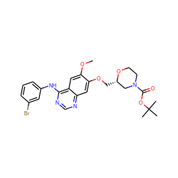 COc1cc2c(Nc3cccc(Br)c3)ncnc2cc1OC[C@H]1CN(C(=O)OC(C)(C)C)CCO1 ZINC000299834570