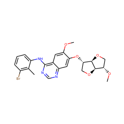 COc1cc2c(Nc3cccc(Br)c3C)ncnc2cc1O[C@H]1CO[C@@H]2[C@@H](OC)CO[C@H]12 ZINC000034109089