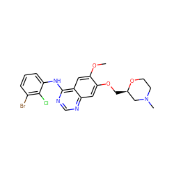 COc1cc2c(Nc3cccc(Br)c3Cl)ncnc2cc1OC[C@@H]1CN(C)CCO1 ZINC000115598865