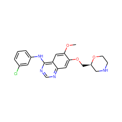 COc1cc2c(Nc3cccc(Cl)c3)ncnc2cc1OC[C@@H]1CNCCO1 ZINC000299823976