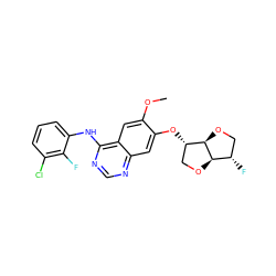 COc1cc2c(Nc3cccc(Cl)c3F)ncnc2cc1O[C@H]1CO[C@@H]2[C@@H](F)CO[C@H]12 ZINC000114821822