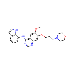 COc1cc2c(Nc3cccc4cc[nH]c34)ncnc2cc1OCCCN1CCOCC1 ZINC000027994660