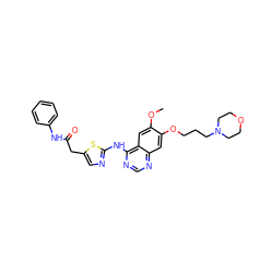 COc1cc2c(Nc3ncc(CC(=O)Nc4ccccc4)s3)ncnc2cc1OCCCN1CCOCC1 ZINC000042888758