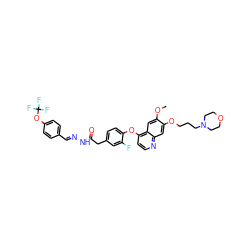 COc1cc2c(Oc3ccc(CC(=O)N/N=C/c4ccc(OC(F)(F)F)cc4)cc3F)ccnc2cc1OCCCN1CCOCC1 ZINC000221037494