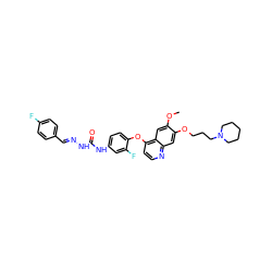 COc1cc2c(Oc3ccc(NC(=O)N/N=C/c4ccc(F)cc4)cc3F)ccnc2cc1OCCCN1CCCCC1 ZINC000096283555