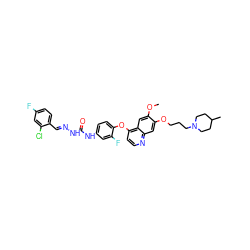 COc1cc2c(Oc3ccc(NC(=O)N/N=C/c4ccc(F)cc4Cl)cc3F)ccnc2cc1OCCCN1CCC(C)CC1 ZINC000205444542