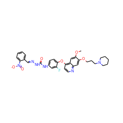 COc1cc2c(Oc3ccc(NC(=O)N/N=C/c4ccccc4[N+](=O)[O-])cc3F)ccnc2cc1OCCCN1CCCCC1 ZINC000096283538