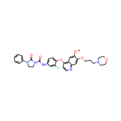 COc1cc2c(Oc3ccc(NC(=O)N4CCN(c5ccccc5)C4=O)cc3F)ccnc2cc1OCCCN1CCOCC1 ZINC000049695009