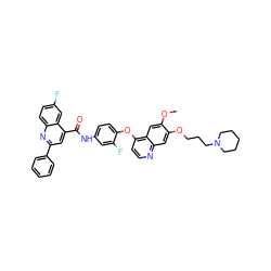 COc1cc2c(Oc3ccc(NC(=O)c4cc(-c5ccccc5)nc5ccc(F)cc45)cc3F)ccnc2cc1OCCCN1CCCCC1 ZINC000096271508