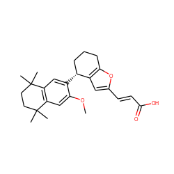 COc1cc2c(cc1[C@@H]1CCCc3oc(/C=C/C(=O)O)cc31)C(C)(C)CCC2(C)C ZINC000013560357