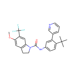 COc1cc2c(cc1C(F)(F)F)N(C(=O)Nc1ccc(C(C)(C)C)c(-c3cccnc3)c1)CC2 ZINC000013806157