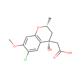 COc1cc2c(cc1Cl)[C@](O)(CC(=O)O)C[C@@H](C)O2 ZINC000013456167