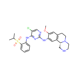 COc1cc2c(cc1Nc1ncc(Cl)c(Nc3ccccc3S(=O)(=O)C(C)C)n1)[C@H]1CNCCN1CC2 ZINC001772590249